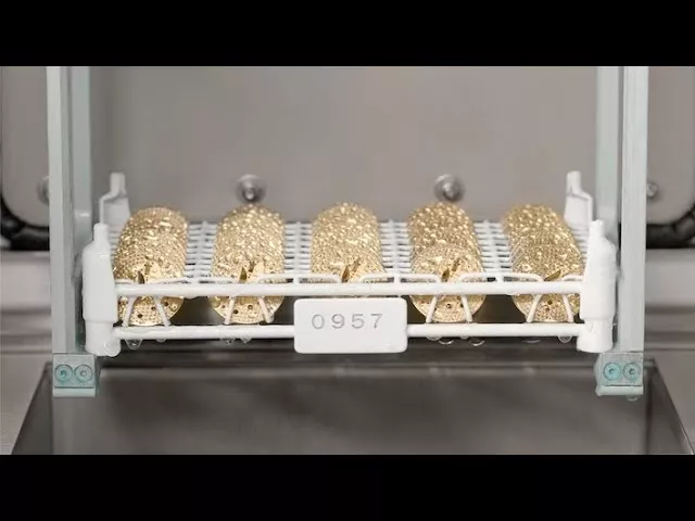 The Art of Purity in Watchmaking: A Look at Cleaning Movement Plates