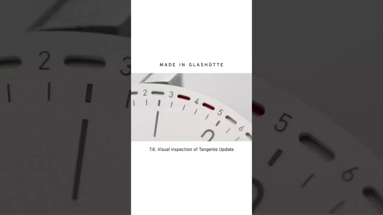 The Art of Precision: Visual Inspections in Watch Assembly