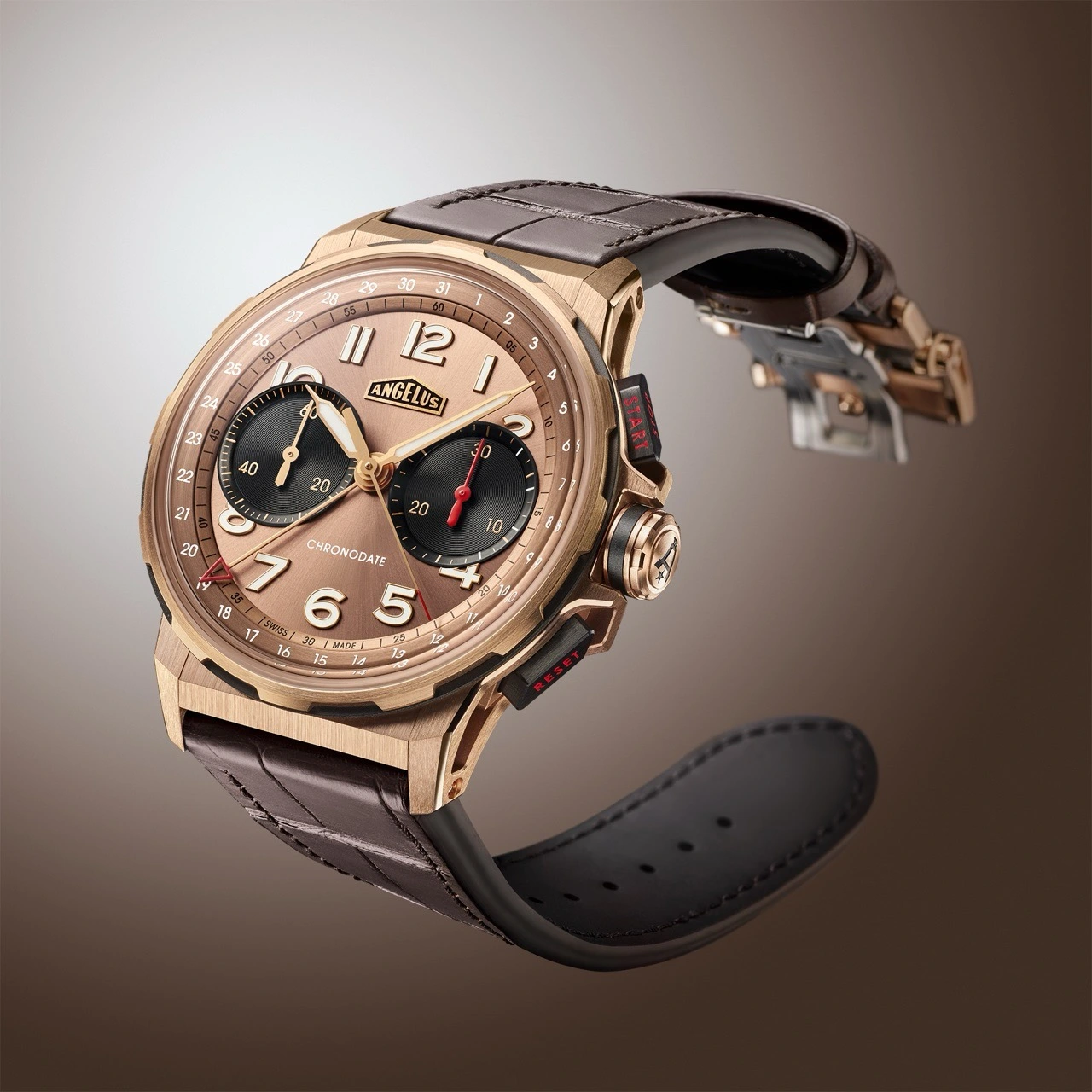 Angelus Chronodate Gold & Chronodate Titanium Moka Editions