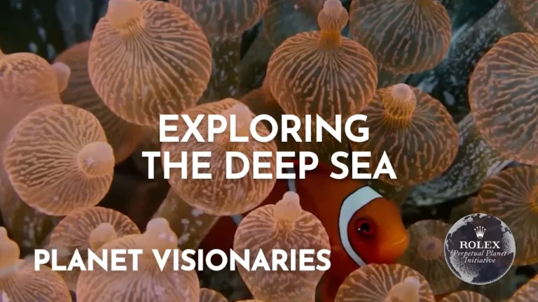 ROLEX - Exploring Deep-Ocean Discovery with Sheena Talma and Katy Croff Bell
