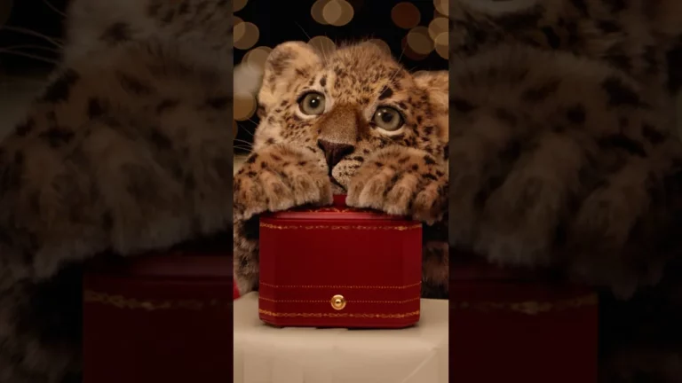 CARTIER - The Intriguing Elegance of The Panther Protects Collection