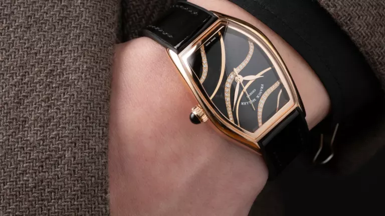 FRANCK MULLER - Curvex CX Silhouette